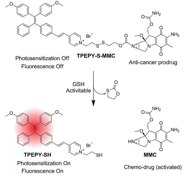TPEPY-S-MMC的化学结构，以及药物和光动力学机理