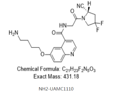 NH2-UAMC1110 氨基修饰的示踪剂