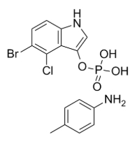 cas:6578-06-9    5-溴-4-氯-3-吲哚基磷酸酯对甲苯胺盐(BCIP)