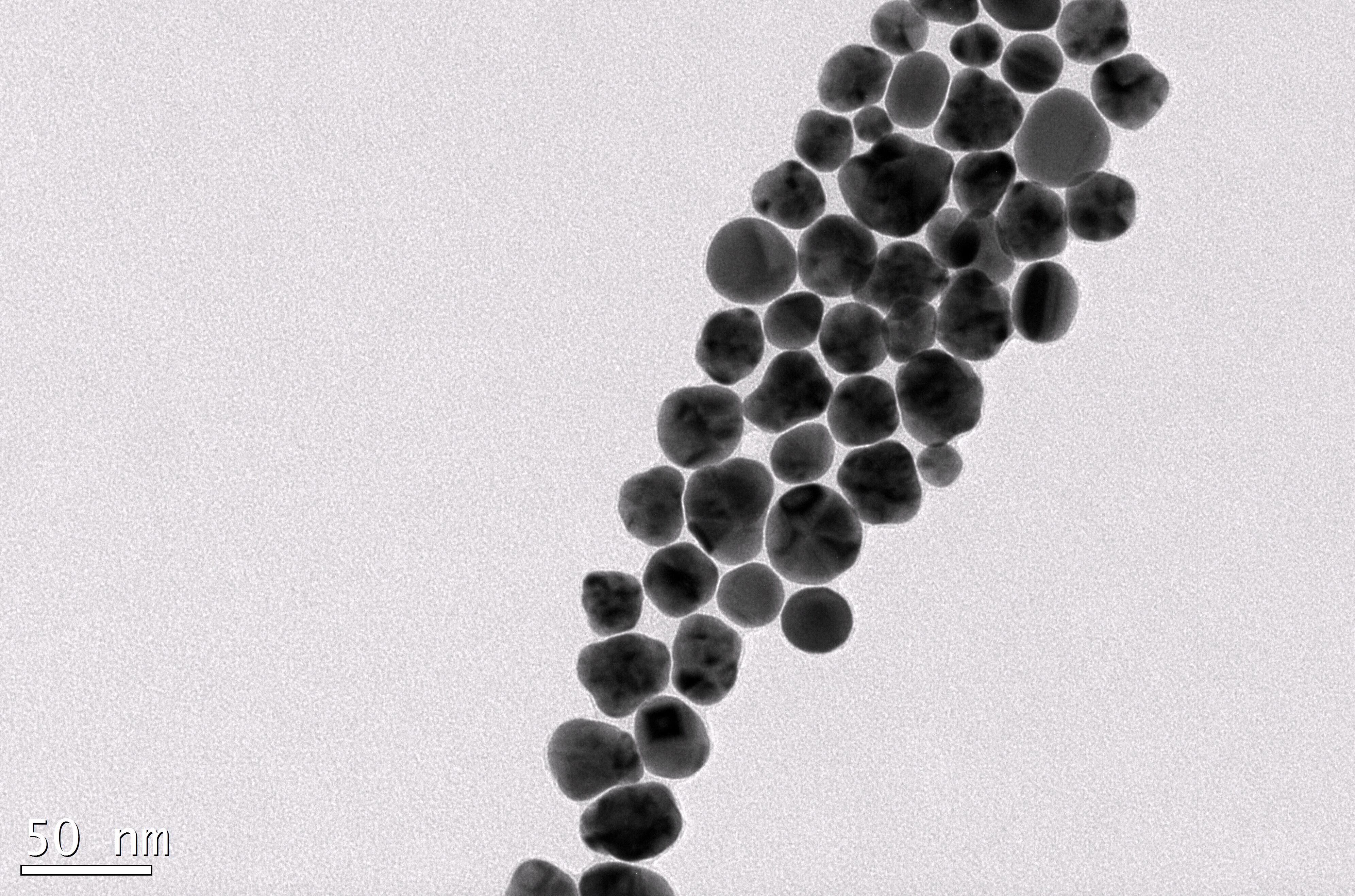 双活性基团PEG修饰纳米金 Gold Nanoparticles 20nm (0.5mg/ml)