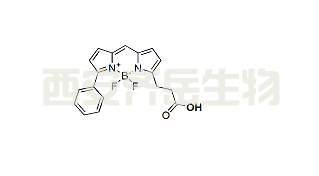CAS: 174881-57-3,BDP R6G carboxylic acid